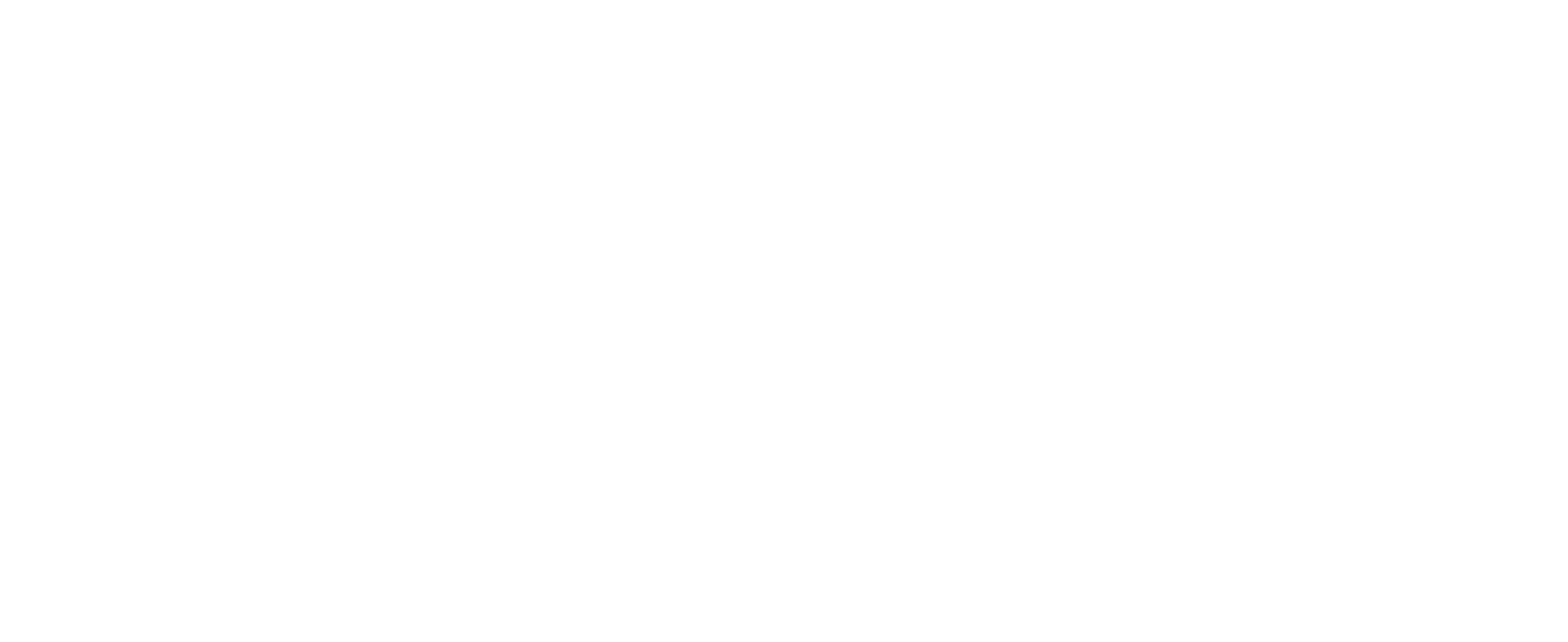 digital_services_logo-light