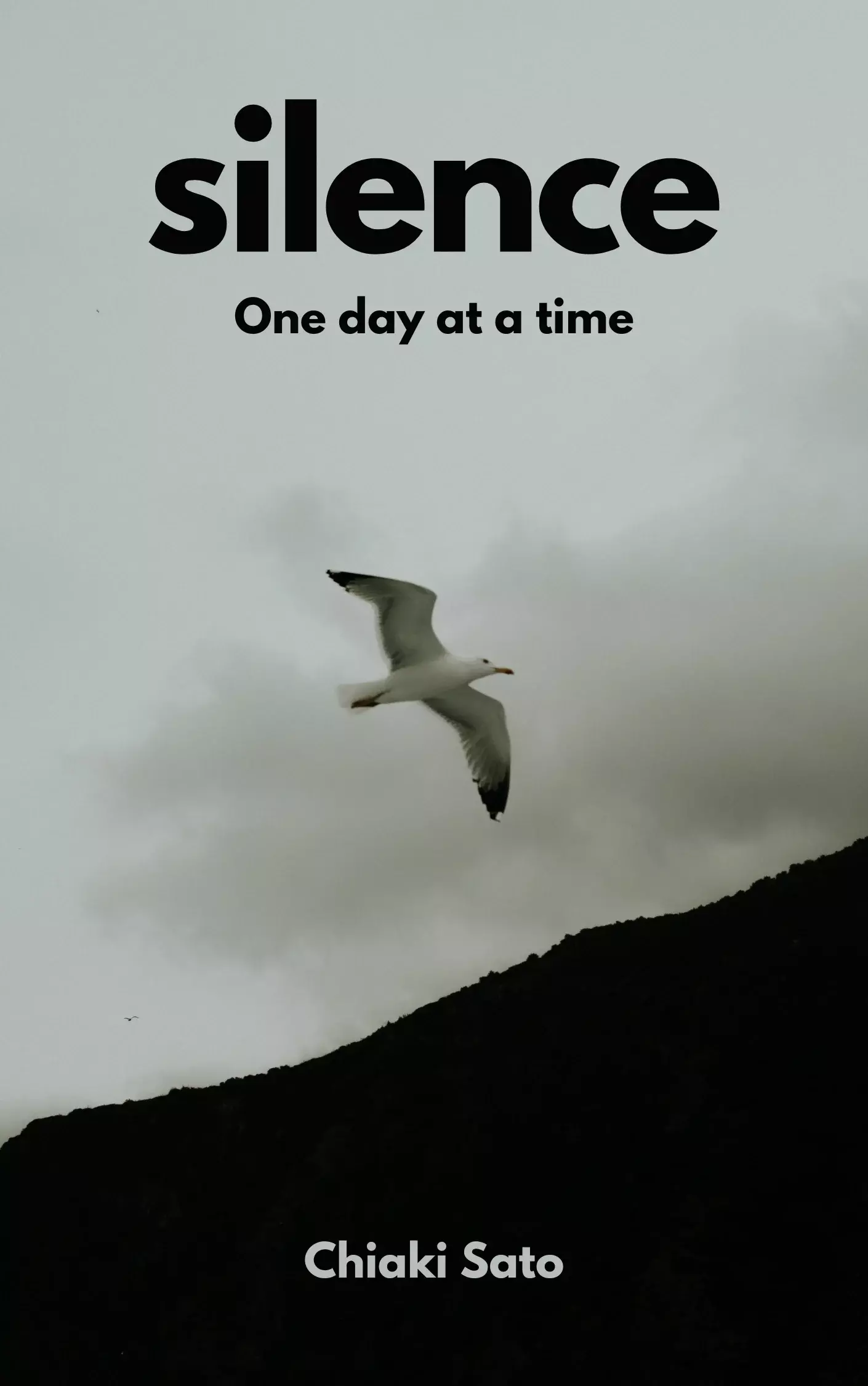 Scarlet-And-Black-Mystery-Novel-Book-Cover-4